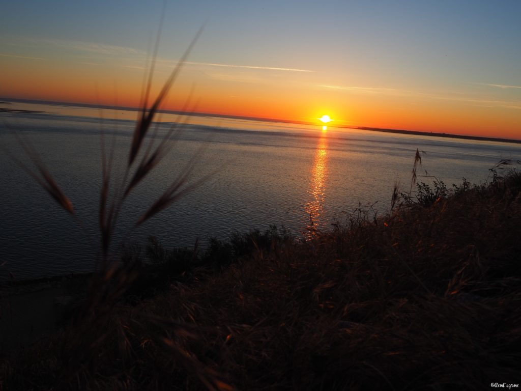 Dune du Pilat