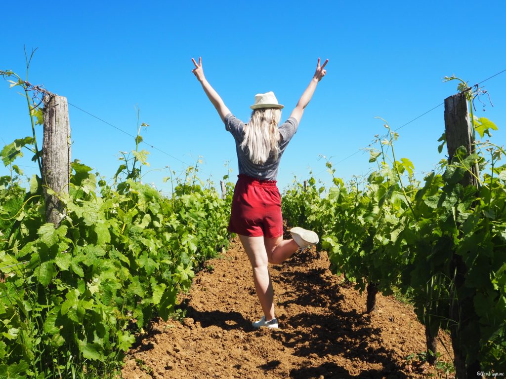 vignobles Saint-Emilion