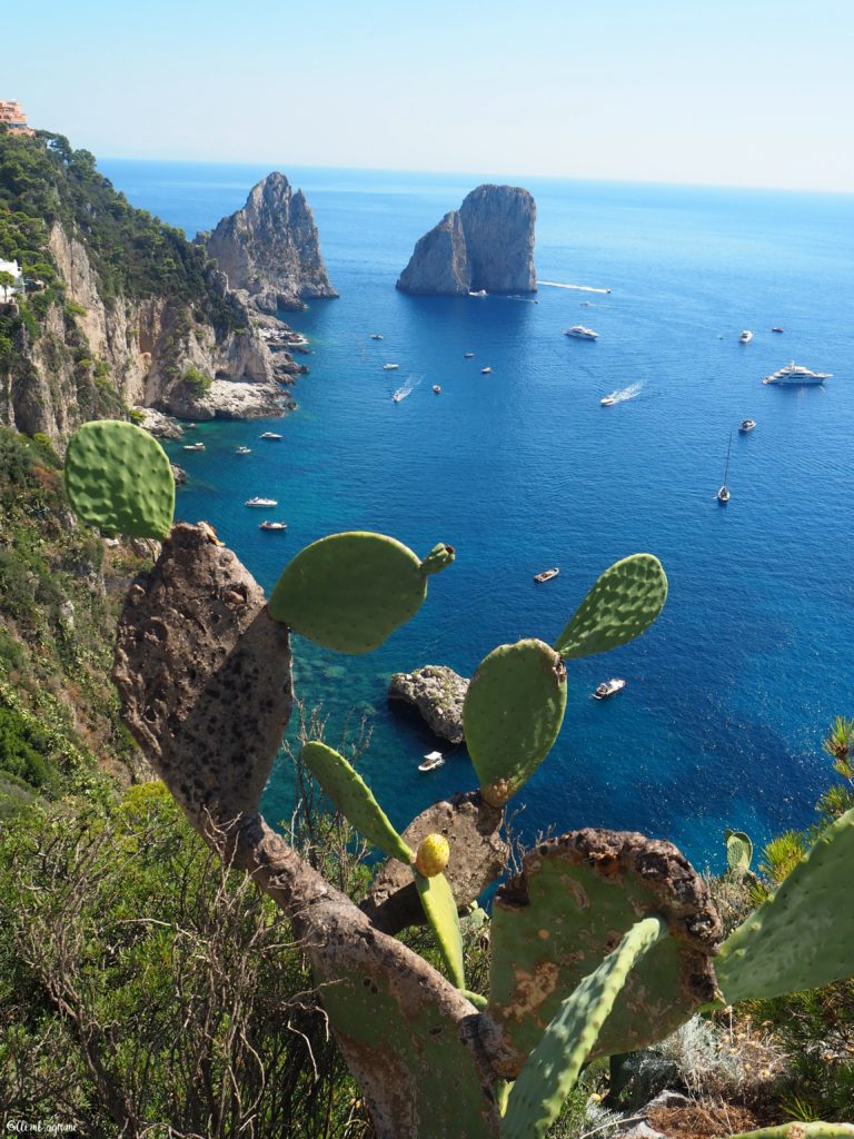 Rochers Faraglioni di Capri