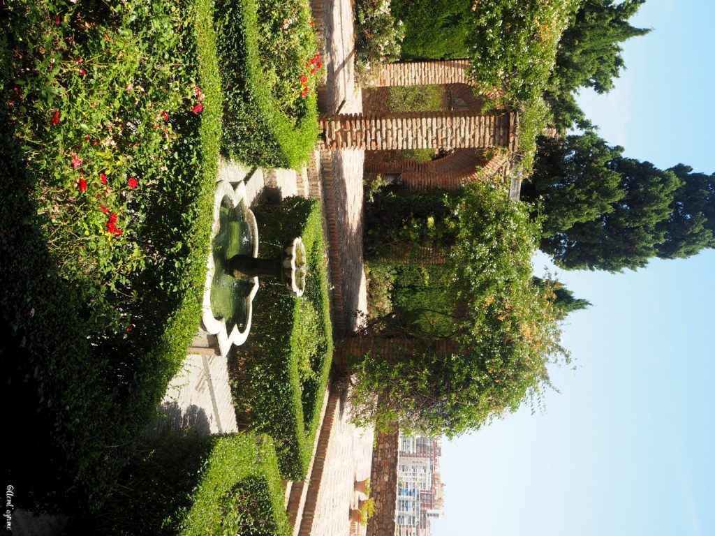 Malaga jardin alcazaba